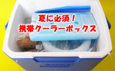 夏に必須のクーラーボックス　コールマン　イグルー